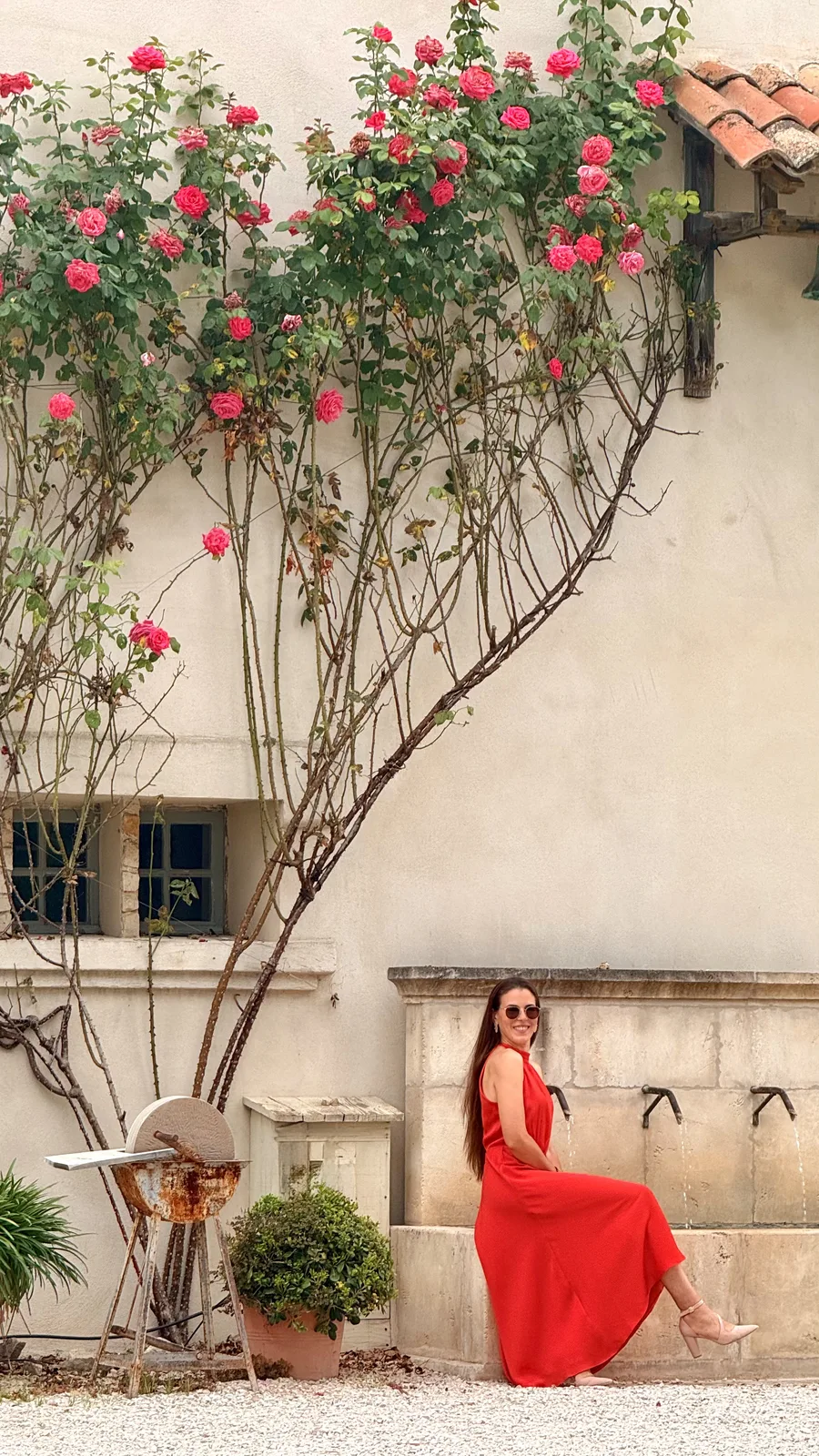 Haifa assise sur la fontaine, sous les roses grimpantes